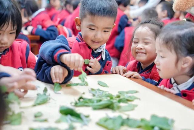 今天的吴江，“娃”声一片！
