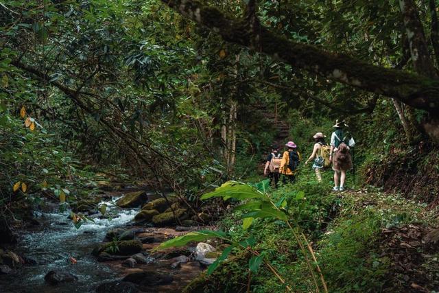 网络中国节·清明丨清明出游不扎堆！云南这些人少景美的宝藏小城别错过