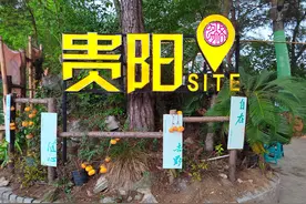 跟着贵州文旅推荐官打卡多彩贵州丨在爽爽贵阳享受别样诗意慢生活图片