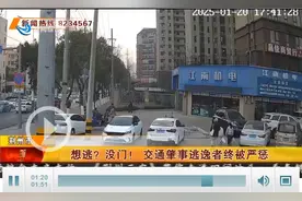 肇事逃逸？难逃法网！荆州警方查处两起交通肇事逃逸案图片