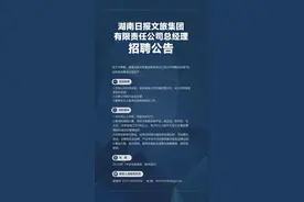湖南日报文旅集团有限责任公司总经理招聘公告图片