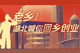 这个春节，8724名楚商返乡过年，湖北掀起招商引资热潮图片