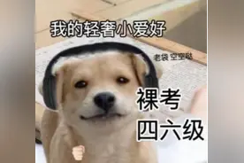 Submission又来了？请欣赏四六级考试大型整活现场图片