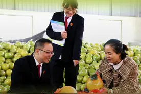 梅州梅县松口法庭：“中国金柚之乡”的调解经——让纠纷不出果园图片