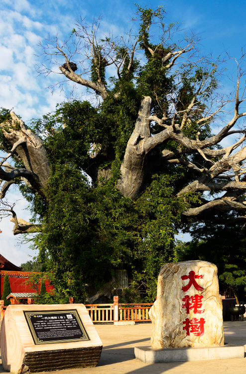 秋末冬初，临汾古建与自然之美等你探寻