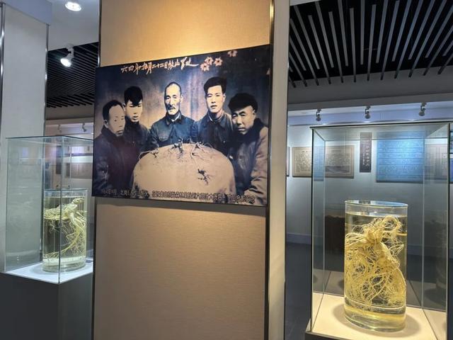 雪假来啦，来白山不只可玩雪，这条线路请查收