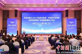 孝感高新区22个项目集中签约 资金规模超180亿元图片