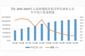 2024年云南省城镇单位就业人员年平均工资公布图片