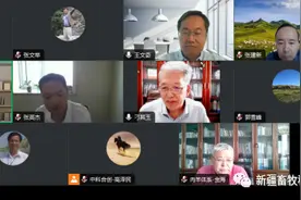“新疆肉用绵羊高效饲养技术体系构建与应用”项目研究成果顺利通过科技成果评价图片