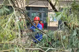 强风暴雨突袭！南川城市管理部门紧急排危抢险图片