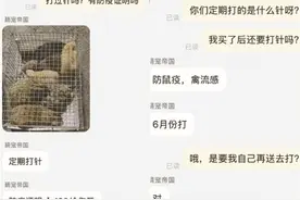网购土拨鼠，连防疫证明都没有？记者调查：“异宠”市场乱象多图片