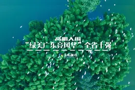全省前十，高明绿美为何能专美于前？丨深读高明图片