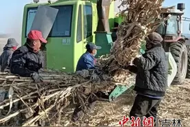 桦甸泊源合作社种田全程机械化图片