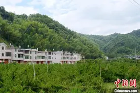 乡约福建：将军故里，竹业新村图片