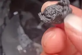 鲁花回应“食用油燃烧后像沥青”：不要相信网络抹黑，放心吃就行了图片