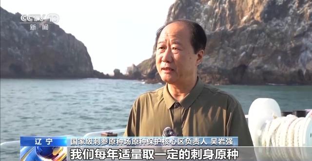 辽宁海参多少钱一斤 2026年辽宁大连海参多少钱一斤