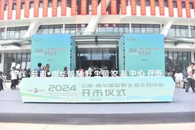 云南·南华国际野生菌交易中心开市图片