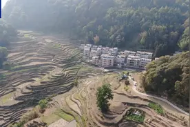 广西河池持续旱情影响7万亩农田 多部门紧急送水保民生图片