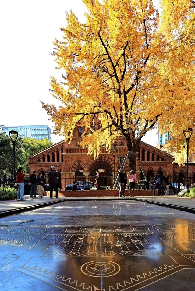 上海顶级秋景！藏着传统中国色→