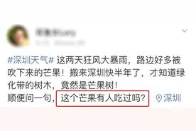 这种“芒果”有毒，为什么还要种？图片