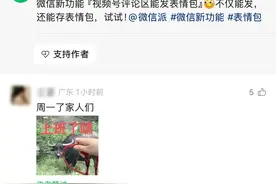 微信新功能上线，视频号评论区可发表情包图片