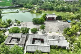 茂名再添生态名片！电城镇获评广东省森林城镇图片