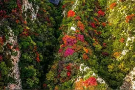 重阳福利！来山东登山，这些人免费图片