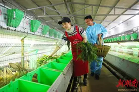 山兔养殖促增收图片