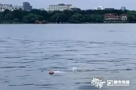 女子落水后，一个动作成功自救！专家建议→图片