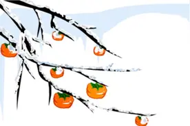 【科技助苗】辽宁省科技馆“匠心课堂”1月第2周活动安排图片