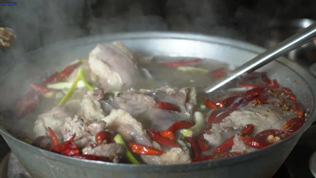 定边行记
