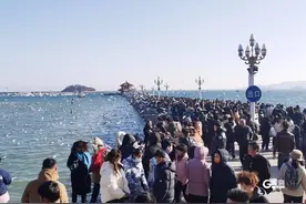 青岛公布历史城区3716个停车位，假期出游，收好这份停车攻略图片