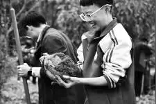 这样的劳动实践课好吃又好玩图片