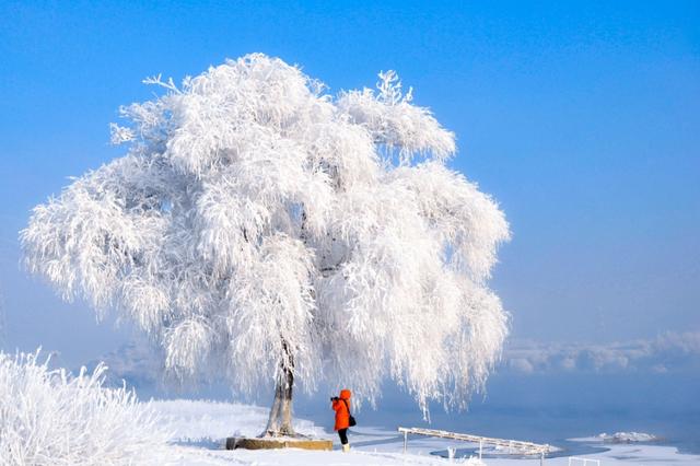 雾凇之都 滑雪天堂 吉林市冰雪主题推介会在西安举办