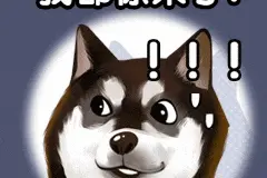 闺蜜俩商场偷衣服，为规避收监竟反复怀孕共育11子！图片