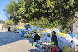 宣城旌德：油茶果飘香 “金果”收购忙图片