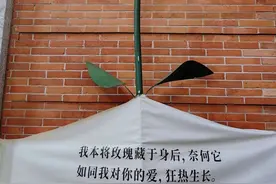 奉贤夜游去哪里？图片