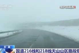 国道216线和218线新疆和静县天山山区路段现强降雪图片