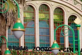 来听，上海迪士尼乐园“疯狂动物城”主题曲《尝试一切》全新中文特别版发布图片