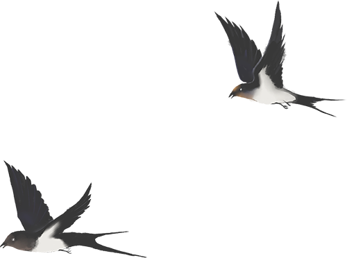 别找了，福安的春天在这里！