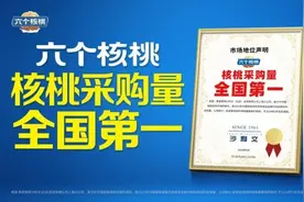 六个核桃：以品质筑基、创新领航的植物蛋白饮品标杆图片