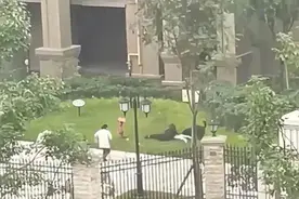 “成都恶犬咬女童事件”后续：保洁员获“见义勇为勇士”称号图片