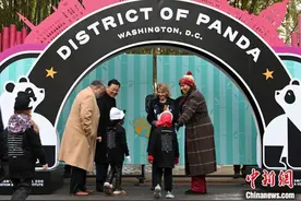 华盛顿动物园大熊猫“宝力”“青宝”与公众见面图片