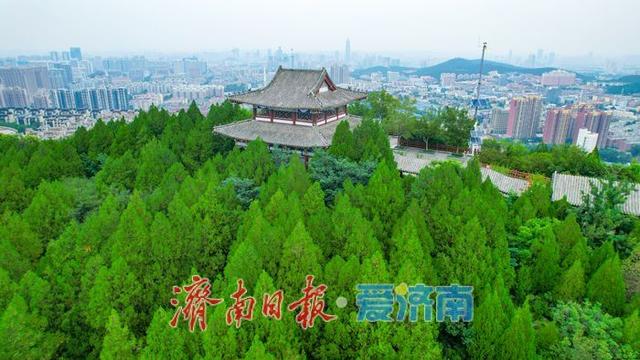 郎茂山公园：城市中的自然氧吧，市民休闲新选择