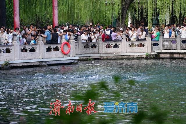 “水涌若轮”盛景醉游人