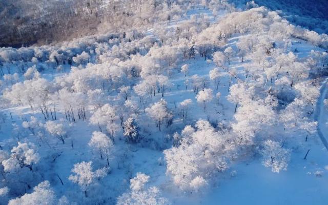 从一场雪假，看见吉林冰雪的长期主义