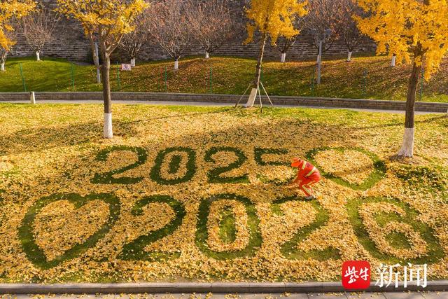 南京城墙下的银杏叶被拼成“2025爱2026” 成网红景点引市民游客排队打卡