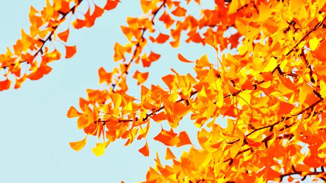 漫步潍坊诸城感受苏轼笔下的超然 邂逅一座城市的五彩斑斓