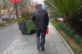 上街沿拐角处“埋伏”3株巨大铁树 枝叶茂密易“扎人”图片