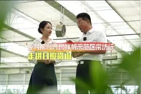 乡村振兴齐鲁样板示范区采访行 走进日照市岚山区图片